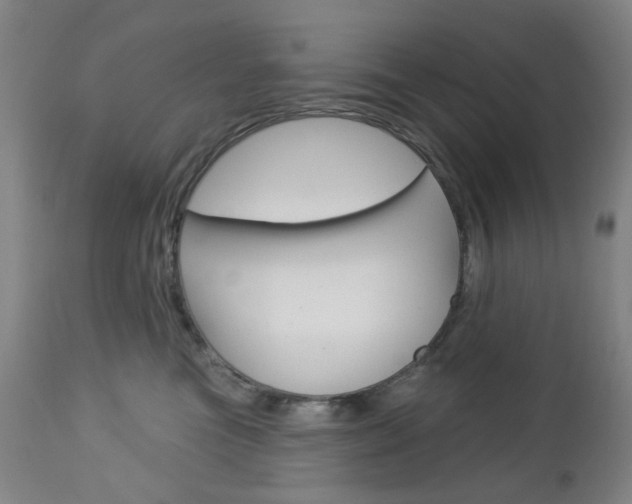 X0000113130473200909040938