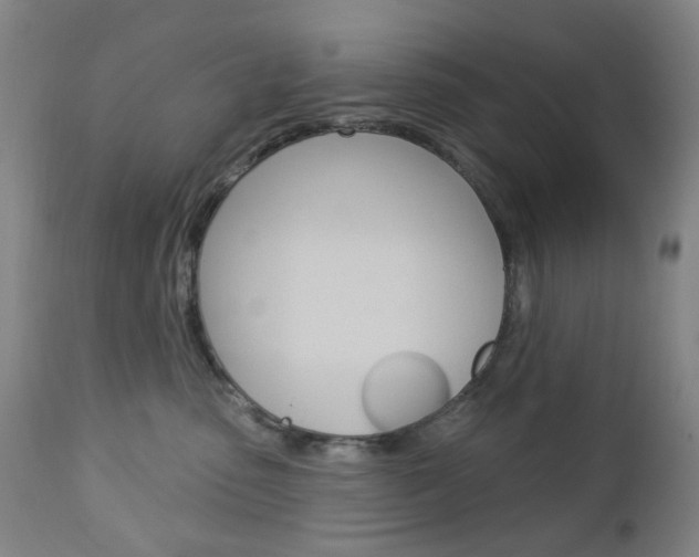 X0000113130475200909040938