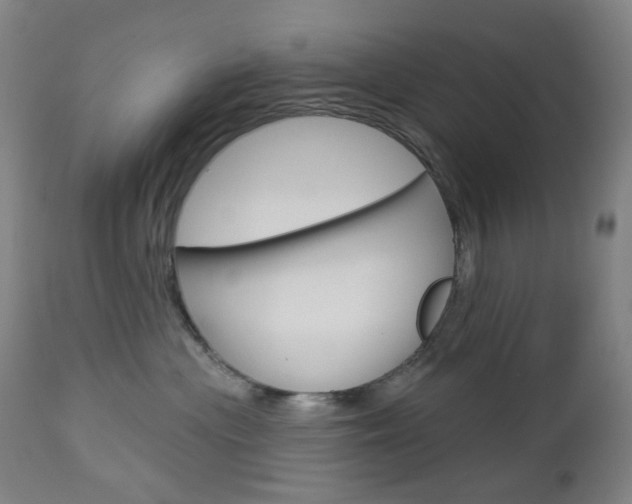 X0000113130477200909040938