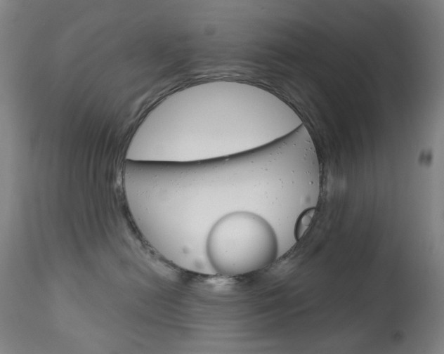 X0000113130478200909040938