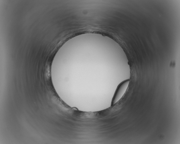 X0000113130479200909040938