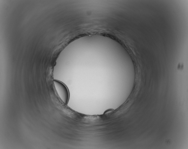 X0000113130480200909040938