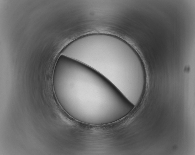 X0000113130481200909040937