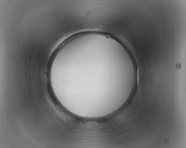 X0000113130483200909040937