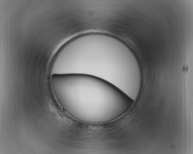 X0000113130484200909040937