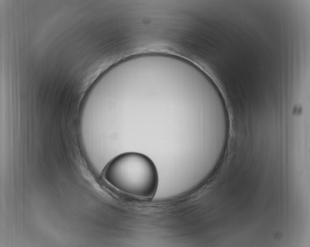 X0000113130485200909040937
