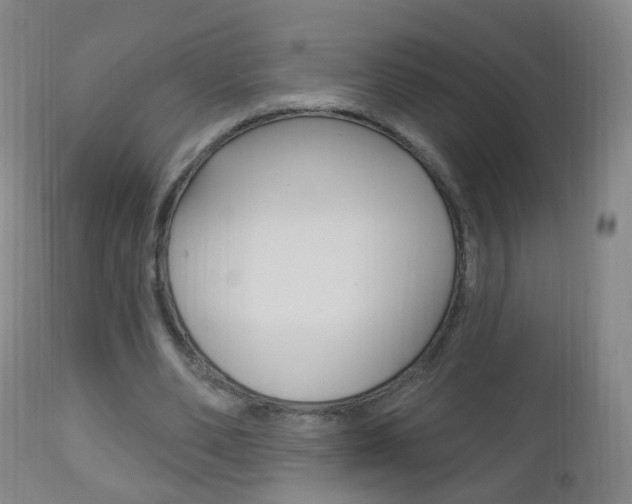 X0000113130486200909040937