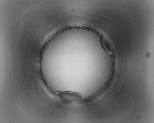 X0000113130489200909040937