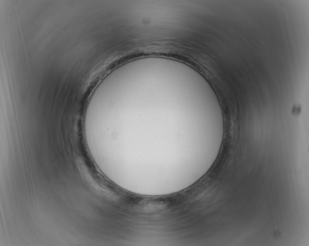 X0000113130491200909040937