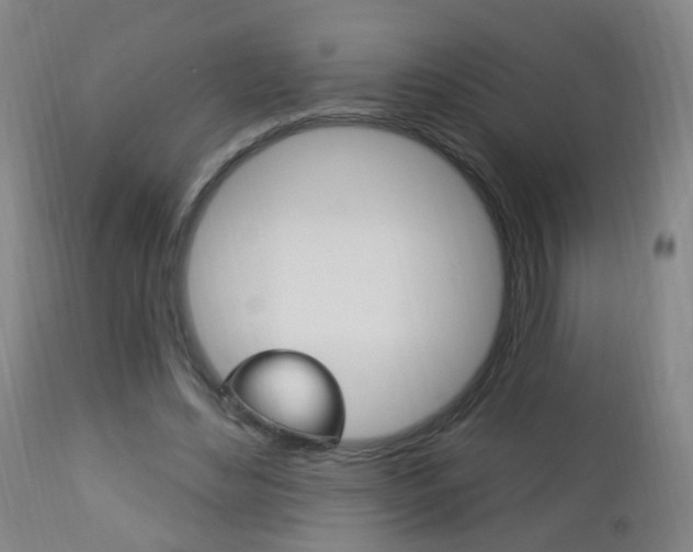 X0000113130492200909040937