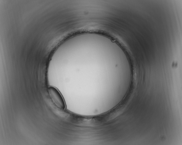 X0000113130493200909040937