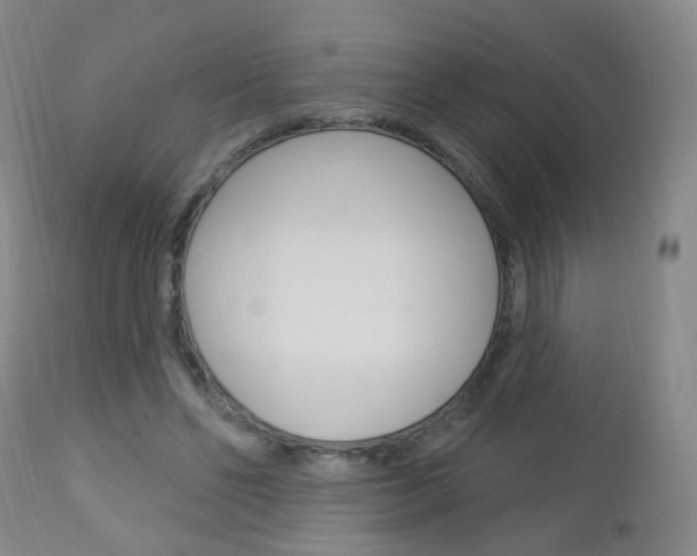 X0000113130494200909040937