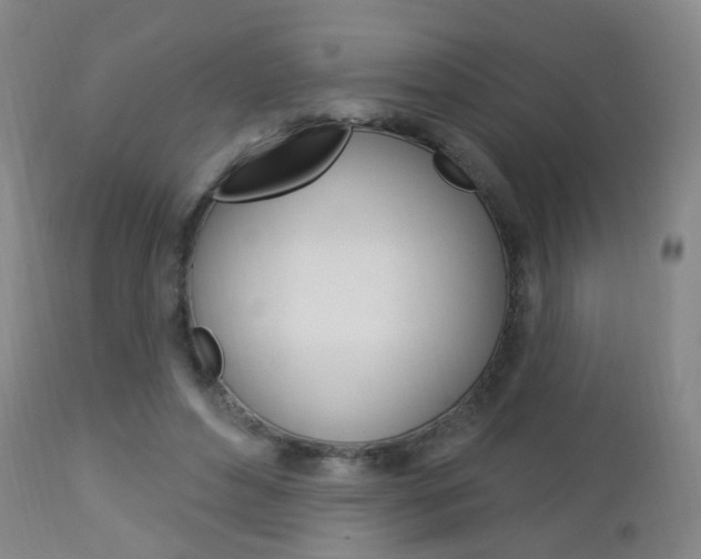 X0000113130496200909040937