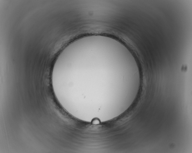 X0000113130497200909040937