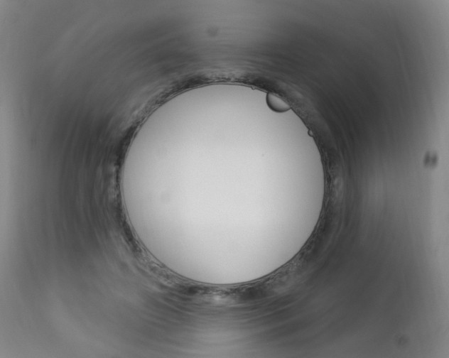 X0000113130498200909040937