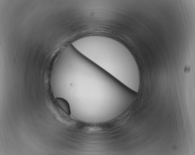 X0000113130500200909040937