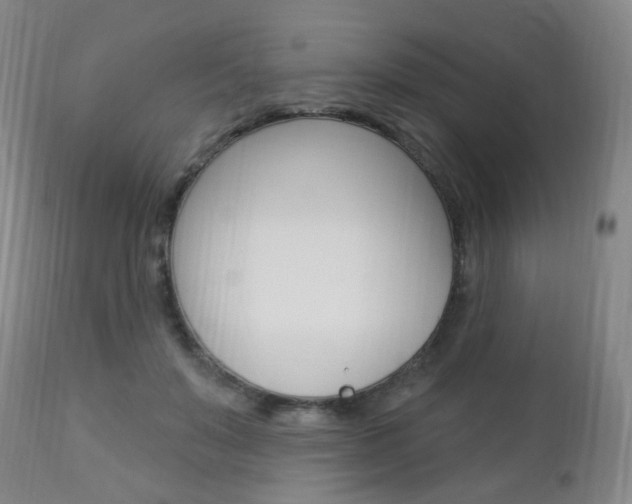 X0000113130503200909040937
