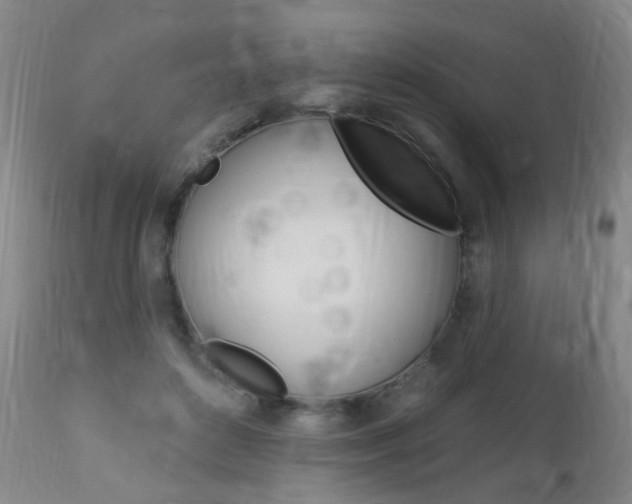 X0000113130504200909040937