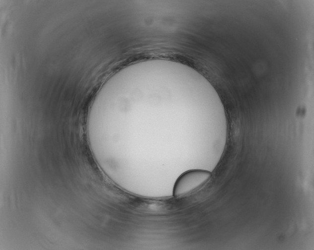 X0000113130506200909040937
