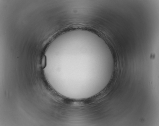 X0000113130508200909040937