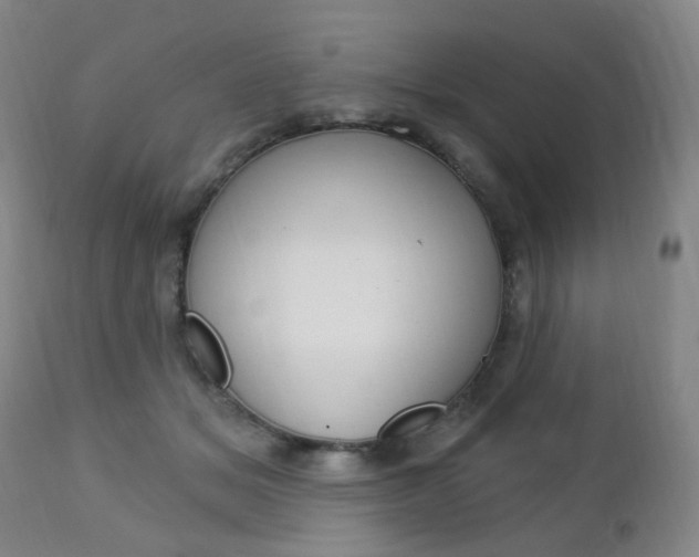 X0000113130509200909040936
