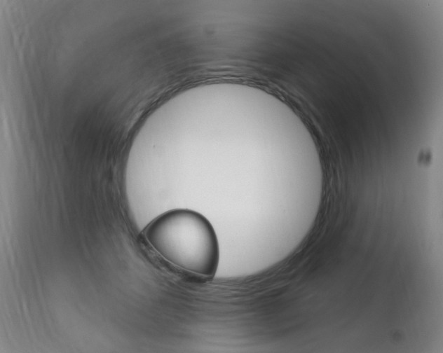 X0000113130512200909040936