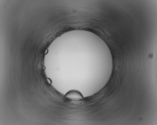 X0000113130515200909040936