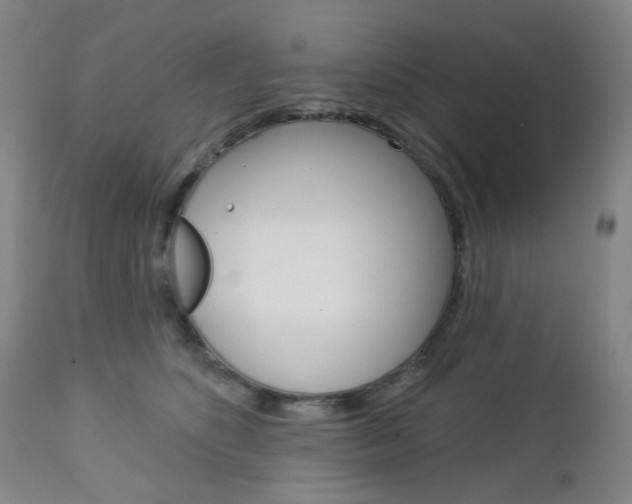 X0000113130516200909040936