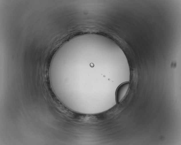 X0000113130517200909040936