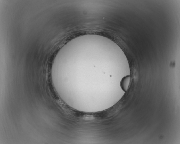 X0000113130519200909040936