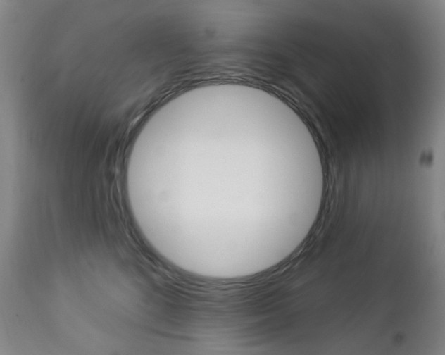 X0000113130520200909040936