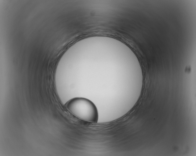 X0000113130521200909040936