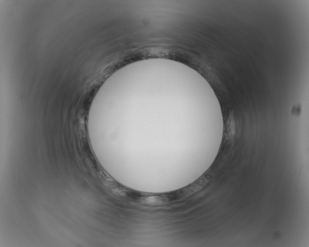 X0000113130522200909040936