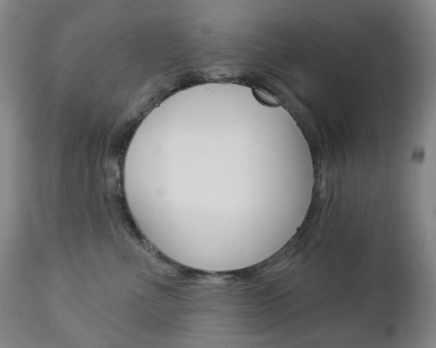 X0000113130523200909040936