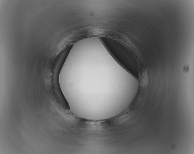 X0000113130524200909040936