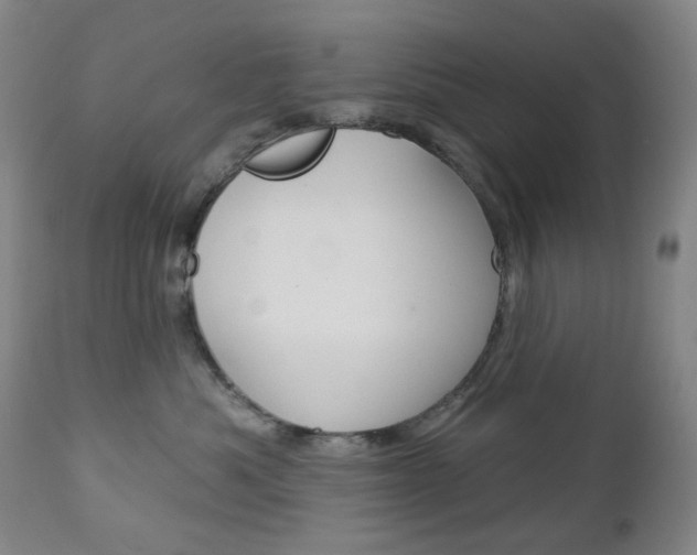 X0000113130525200909040936