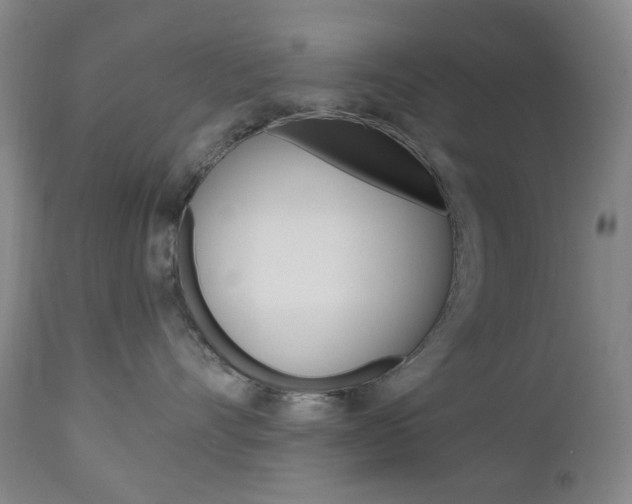 X0000113130528200909040936