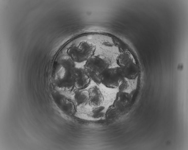 X0000113130529200909040935