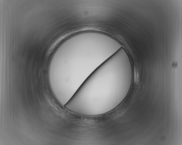 X0000113130531200909040935