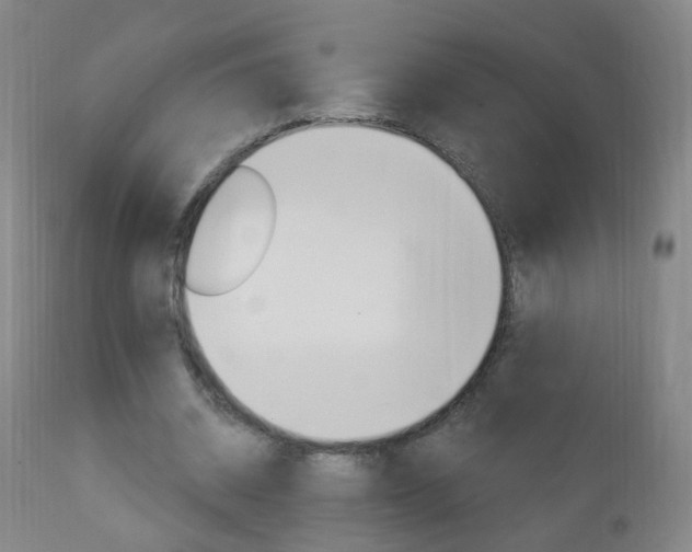 X0000113130534200909040935