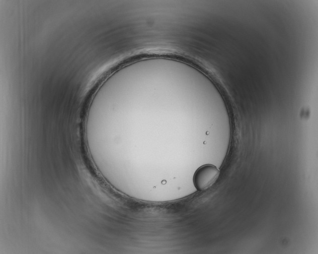 X0000113130535200909040935