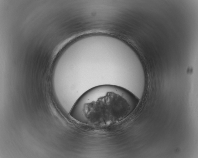 X0000113130536200909040935