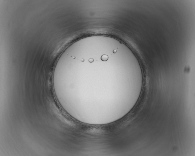 X0000113130537200909040935