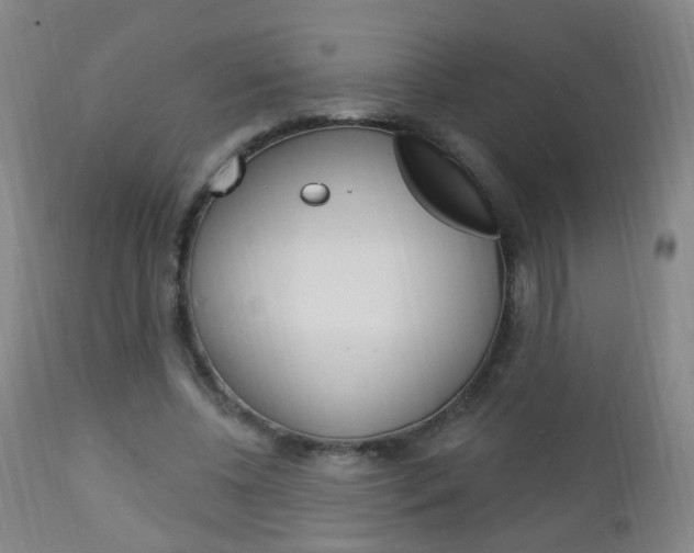 X0000113130540200909040935
