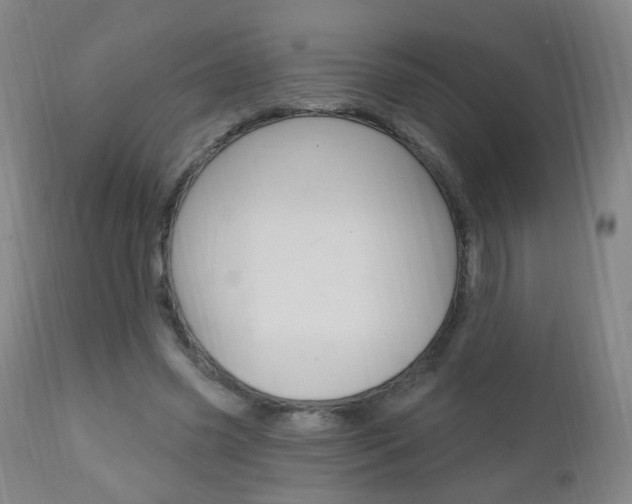 X0000113130541200909040935
