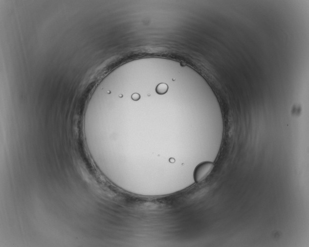 X0000113130542200909040935
