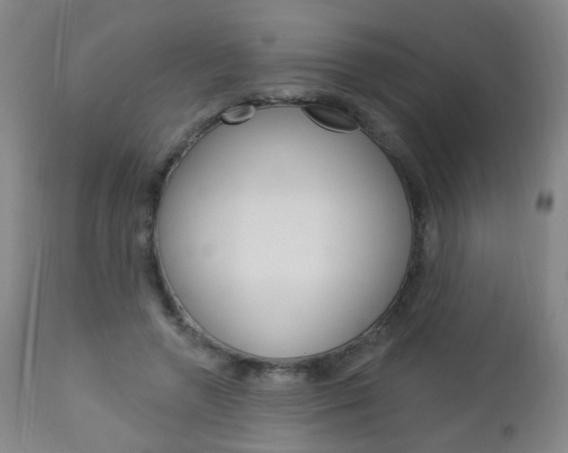 X0000113130546200909040935