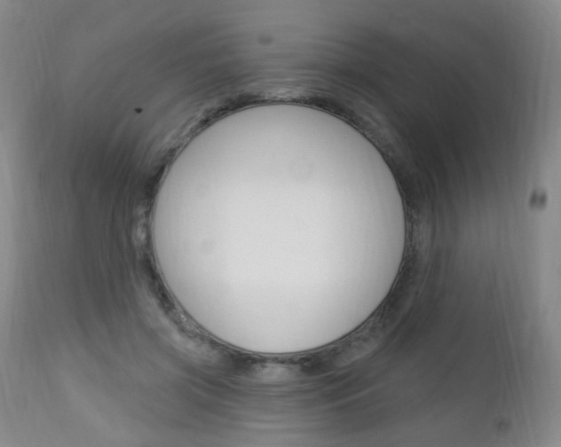 X0000113130549200909040936