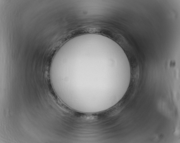 X0000113130553200909040936