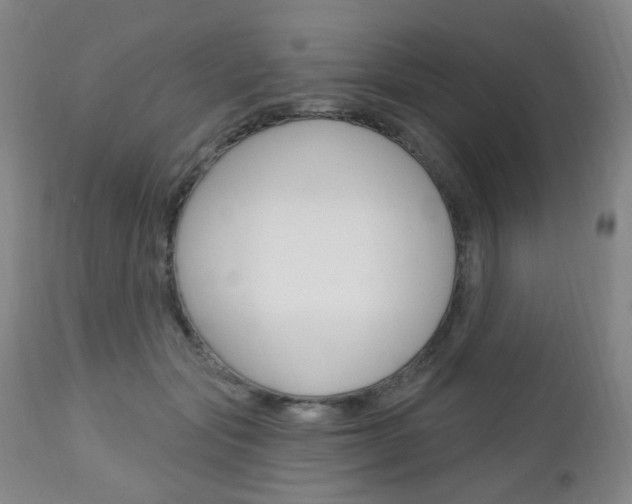 X0000113130557200909040936